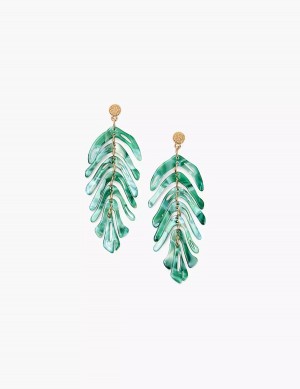 Lane Bryant Green Resin Flowy Leaf Women Earrings Gold | BTS3028JF