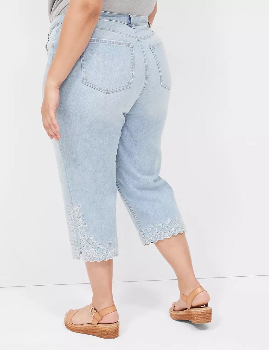 Lane Bryant Boyfriend Fit Capri With Embroidery Women Jeans Light Blue | ZGX7874ZQ