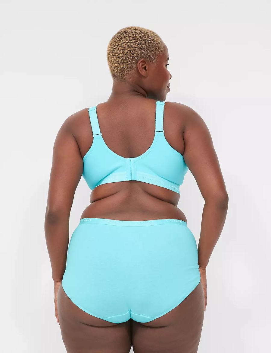 Lane Bryant Cotton Full With Lace Trim Women Briefs Turquoise | ZVW5182VH