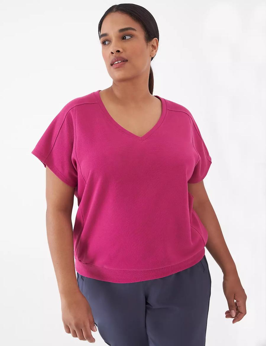 Lane Bryant LIVI French Terry Short-Sleeve Women Sweatshirts Fuchsia | DJC8412CY