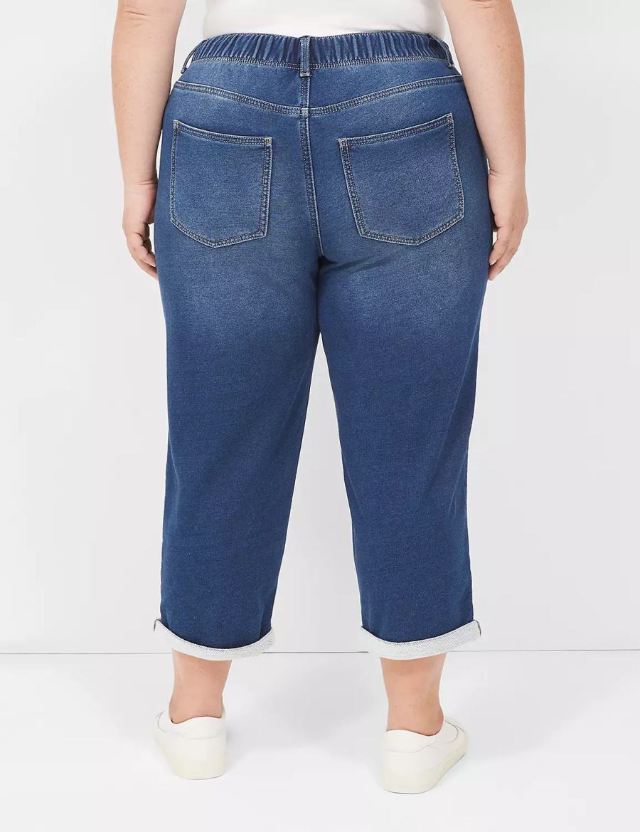 Lane Bryant Pull-On Fit Knit Boyfriend Capri Women Jeans Dark Blue | PPF8894CJ