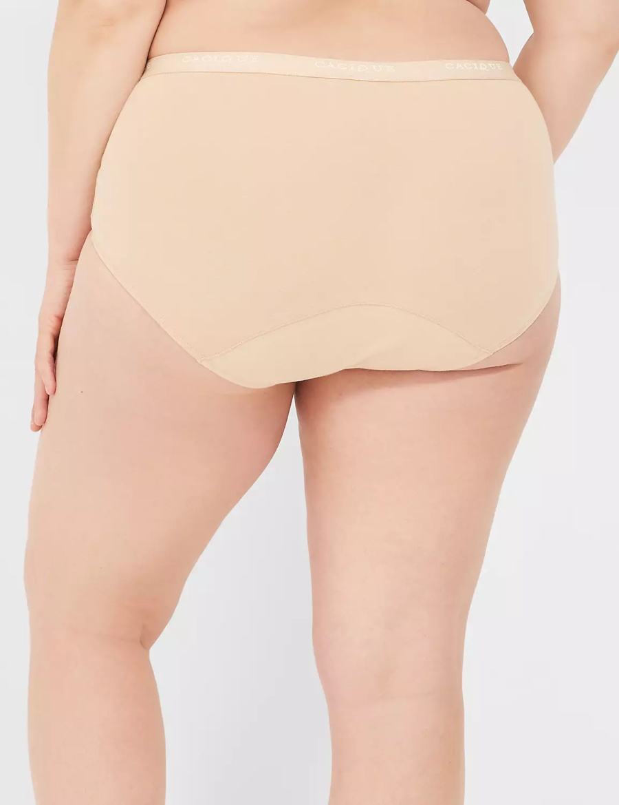 Lane Bryant Total Confidence Full Women Briefs Beige | PVQ6043MX